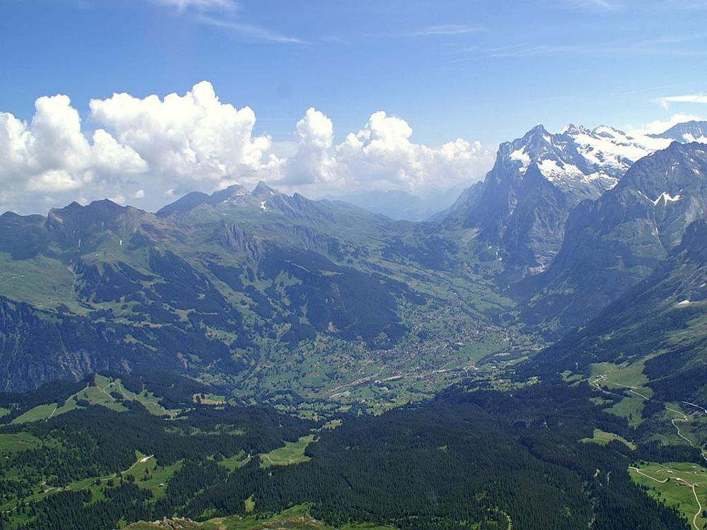Chalet Altenhaus Grindelwald Phòng bức ảnh